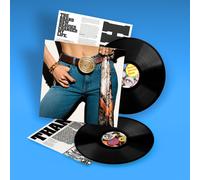 The Brand New Heavies Never Stop: The Best Of (Vinyl) 12" Album