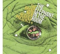 The Brand New Heavies - Presents the Elephant in the Room