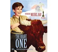 The Brave One [DVD]