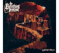 The Breathing Process - Labyrinthian