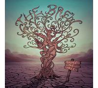 the Brew - Shake The Tree