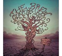 The Brew - Shake The Tree [Vinilo]