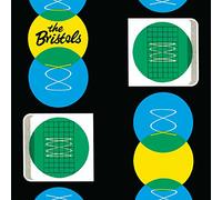 The Bristols - I Got a Thing About You [Vinilo]