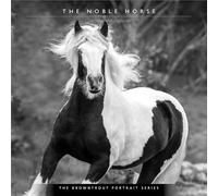 The BrownTrout Portrait Series: El Caballo Noble | Calendario mensual cuadrado de pared 2027 de 12 x 24 pulgadas (colgando) | Sin plástico | Mascotas ecuestres