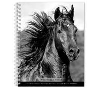 The BrownTrout Portrait Series: El Caballo Noble | Calendario semanal de compromiso 2027 de 6 x 7.75 pulgadas con espiral de alambre | Nueva imagen cada semana | Mascotas ecuestres