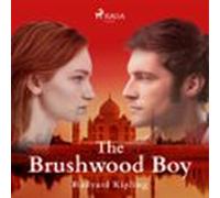 The Brushwood Boy (audiolibro)