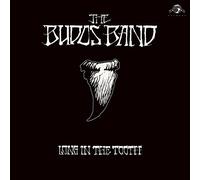 The Budos Band Long in the Tooth (Vinyl) 12" Album