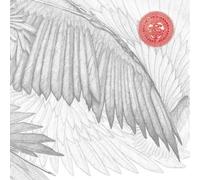 The Bug Angels & Devils (CD) Album (Importación USA)