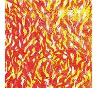 The Bug Fire (Vinyl) 12" Album Coloured Vinyl