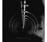 The Bug - In Blue [VINYL] [Vinilo]