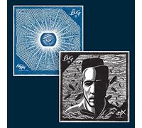The Bug - The Bug-Box Ft D Dpuble E Iceman Ft 12"|"the Bug