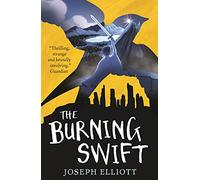 The Burning Swift (Shadow Skye, Book Three): Shadow Skye 03