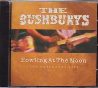 The Bushburys - Howling at the Moon (The Bushburys live)