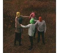 The Callous Daoboys – Celebrity Therapist – Vinilo (Importación USA)