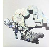 The Caretaker - Everywhere At The End Of Time: Stage 5 [Vinilo]