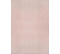 The carpet Alfombra antideslizante lavable, rosa, 240 x 340 cm
