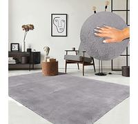the carpet Relax - Alfombra Moderna y mullida de Pelo Corto, para salón, Parte Inferior Antideslizante, Lavable hasta 30 Grados, Muy Suave, Gris, 240 x 340 cm