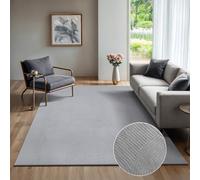the carpet Rio - Alfombra Moderna y Suave para Sala de Estar y Dormitorio con Respaldo Antideslizante y diseño 3D, Superficie mullida, fácil de cuidar y Resistente, Gris, 120 x 160 cm