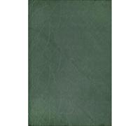 the carpet Rio - Alfombra Moderna y Suave para Sala de Estar y Dormitorio con Respaldo Antideslizante y diseño 3D, Superficie mullida, fácil de cuidar y Resistente, Verde, 120 x 160 cm