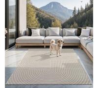 the carpet Santo Plus - Alfombra de Exterior, Adecuada para salón, Dormitorio y terraza, Resistente a la Intemperie, Duradera y fácil de Mantener, Beige, 300 x 400 cm