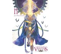 CASE STUDY OF VANITAS V11