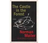Castle In The Forest