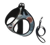 The Cat In The Snow - Arnés para perro, transpirable, reflectante y ajustable, adecuado para gatos y perros pequeños