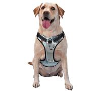 The Cat In The Snow - Arnés para perros pequeños, medianos y grandes, correas reflectantes, ajuste ajustable con hebillas de liberación rápida