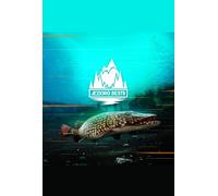 The Catch: Carp & Coarse - Jezioro Bestii (DLC) (PC) Steam Key GLOBAL