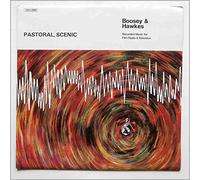 The Cavendish Orchestra - Pastoral, Scenic: Recorded Music For Film, Radio And Television [LP]