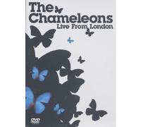 The Chameleons - Live from London [Alemania] [DVD]