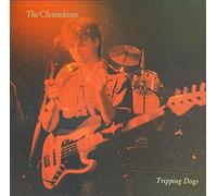 The Chameleons - Tripping Dogs (UK Import)