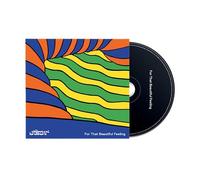 The Chemical Brothers - For That Beautiful Feeling
