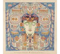 The Chemistry Experiment - Gongs Played By Voice [Vinilo]