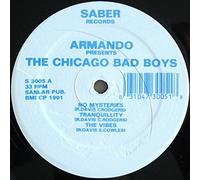 The Chicago Bad Boys