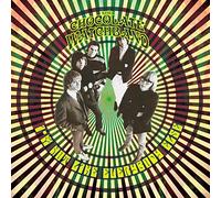 The chocolate watchband - I'm not like everybody else [Vinilo]