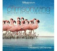 the cinematic orchestra - the crimson wing-mystery of the flamingos