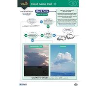The Cloud Name Trail: A Key to Clouds