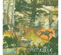 The Colour of Light (CD) Album (Importación USA)