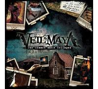 The Common Man's Collapse [Vinilo]