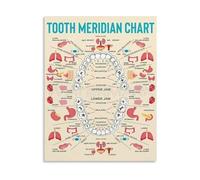 The Complete Guide to Tooth Structure Dental Chart Poster Canvas Wall Art for Office Study Room(Framed,08x12inch(20x30cm))