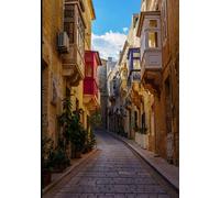 The Complete Photography Field Guide: Master Exposure, Lighting, Composition and Workflow to Shoot Like a Professional Photographer