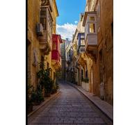 The Complete Photography Field Guide: Master Exposure, Lighting, Composition and Workflow to Shoot Like a Professional Photographer