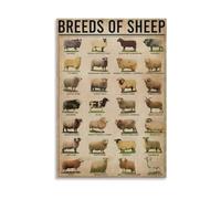 The Complete Sheep Breeds Poster - Knowledge Wall Art for Animal Lovers, Teachers, FFA and Agricultural Students(Framed,12X18inch(30X45cm))