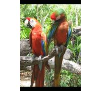 The Complete World of Birds: Science, Ecology, Behaviour, and Human Connection: A Comprehensive Guide to Avian Biology, Diversity, Conservation, and Ecosystem Roles