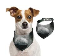 The Confusion Of Giant Pandas - Bandanas reversibles de algodón para perro, babero ajustable para cumpleaños, boda, impresión de doble cara