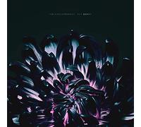 The Contortionist - Our Bones