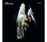 The Courteeners - Falcon