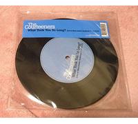 The Courteeners - What Took You So Long Pt.2 [Vinilo]