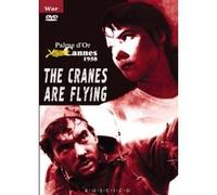 The Cranes are Flying (DVD NTSC) [DVD]